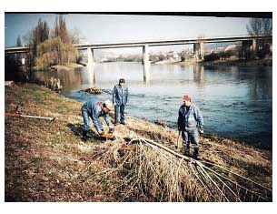  Verificarea st�rii lucr�rilor de protec�ie ale malului �i a arborilor �i organizarea �ntre�inerii lor