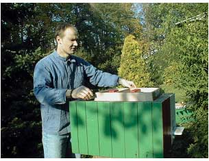  Hr�nirea albinelor toamna