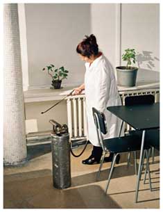 Dezinfectarea unei s�li de mese