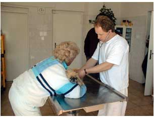  Examinarea unui animal cu stetoscopul